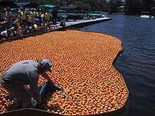 duck race randomizer