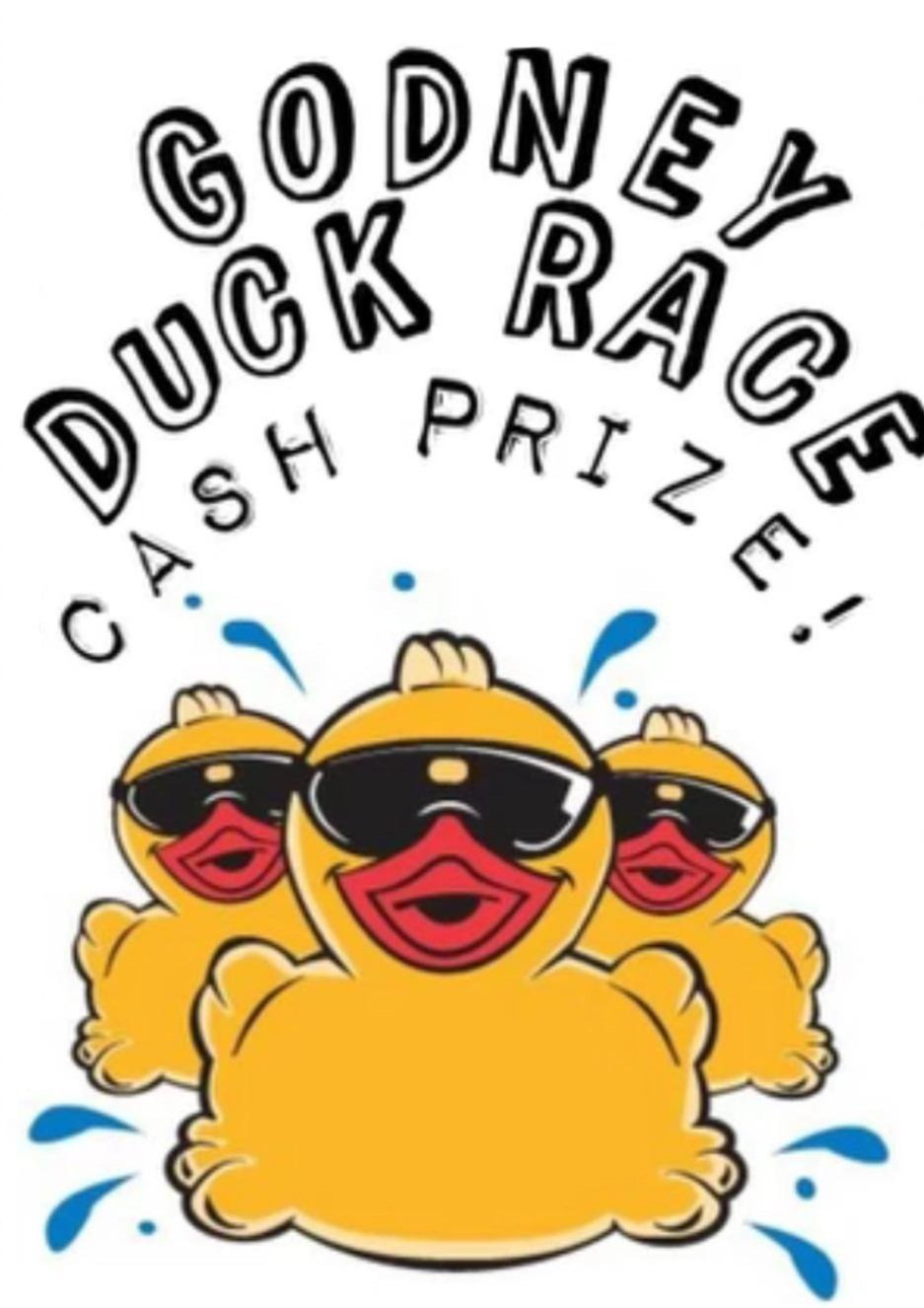 Duck racing name picker